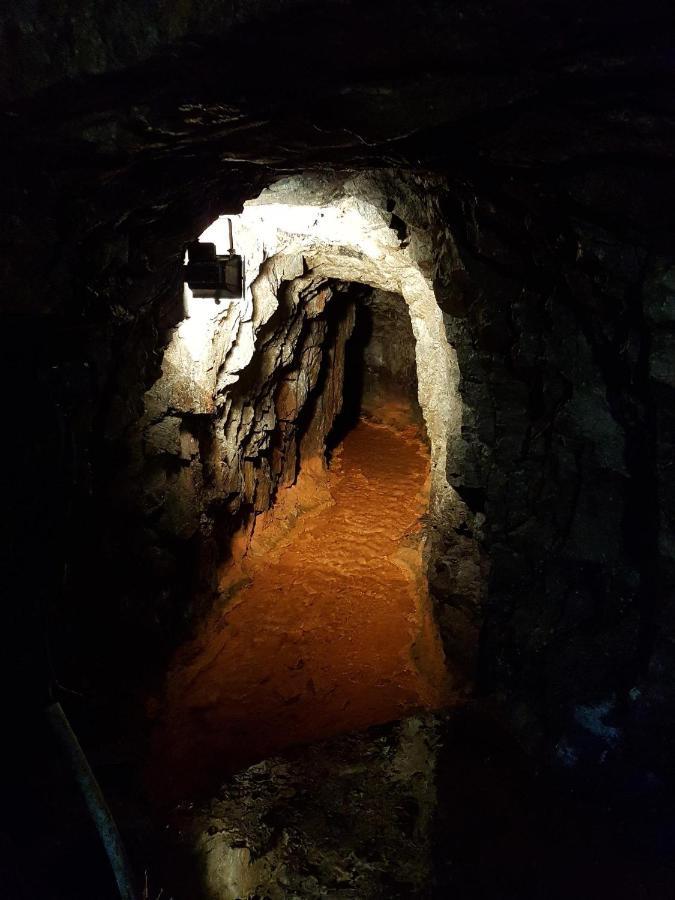 Ferienwohnung An Der Kleinen Schreinerei Hallschlag Bagian luar foto