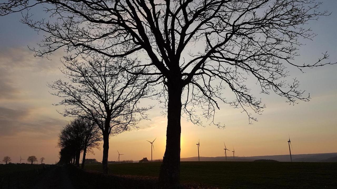Ferienwohnung An Der Kleinen Schreinerei Hallschlag Bagian luar foto