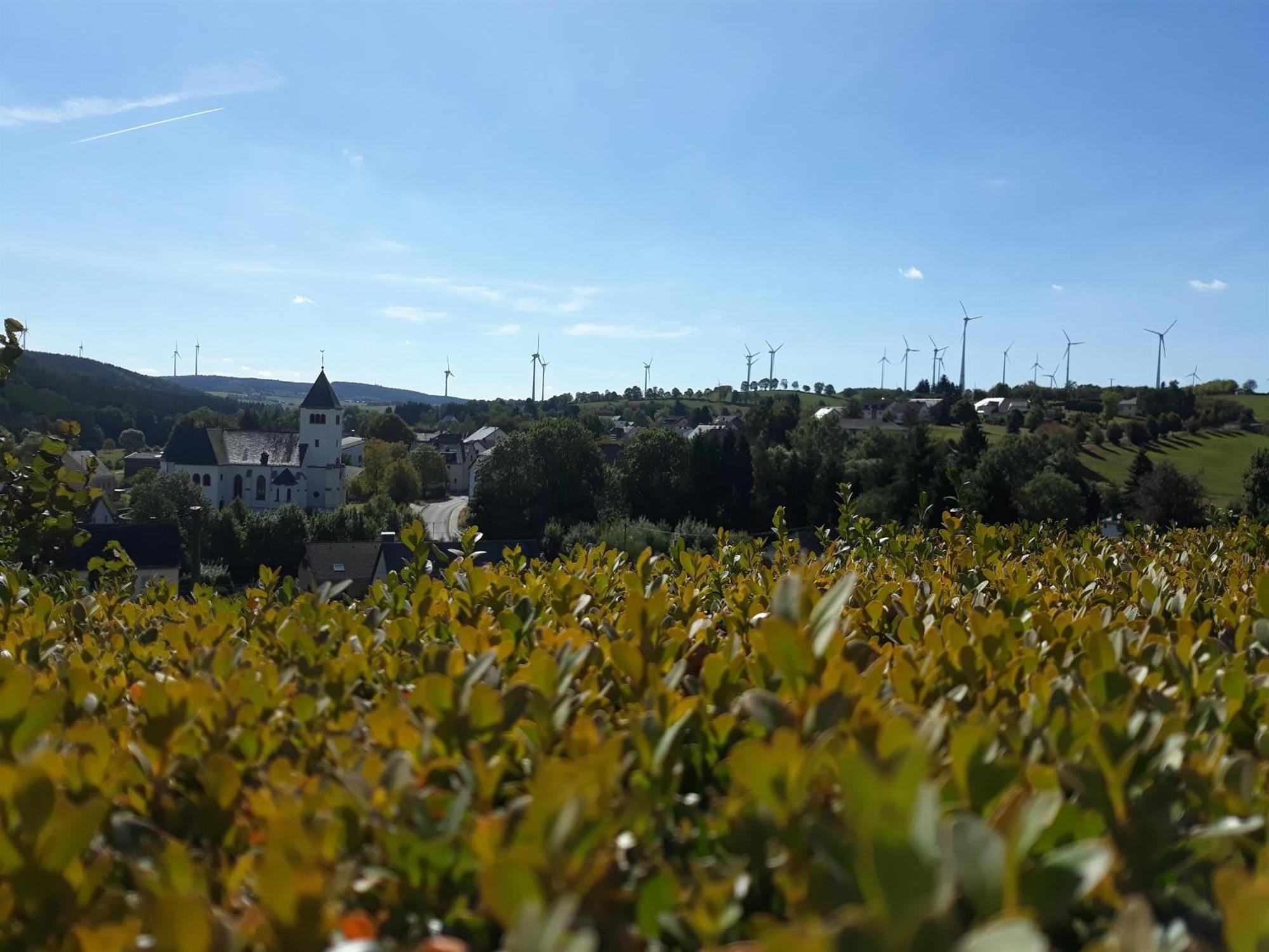 Ferienwohnung An Der Kleinen Schreinerei Hallschlag Ruang foto